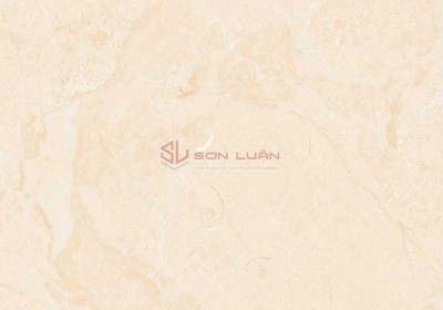 Gạch Ốp Lát APODIO 66282013
